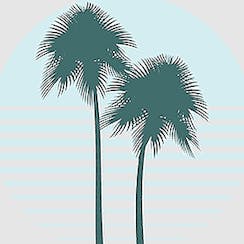 Cali Blendz logo